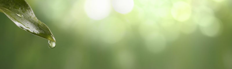 Ménopause – La saison de Renaissance
