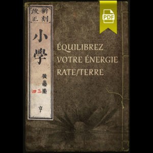 Équilibrez votre énergie Rate/Terre