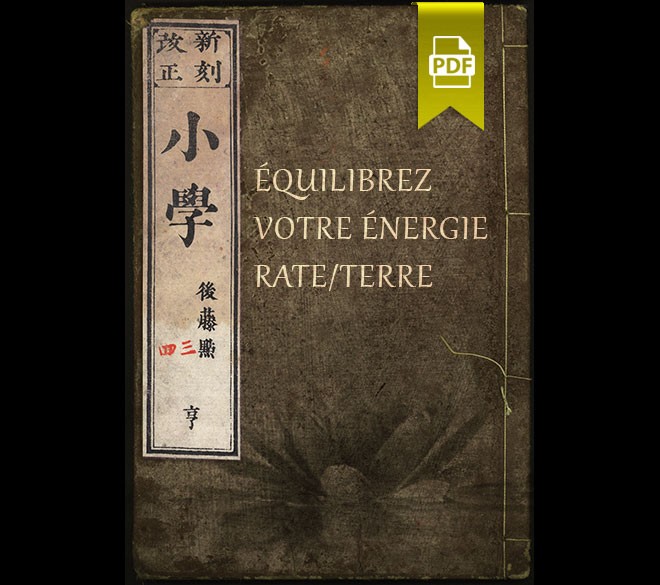 Équilibrez votre énergie Rate/Terre