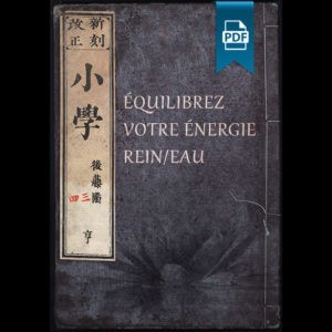 Équilibrez votre énergie Rein/Eau