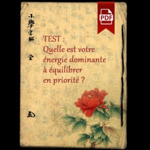 Test : quelle est votre énergie dominante à équilibrer en priorité ?