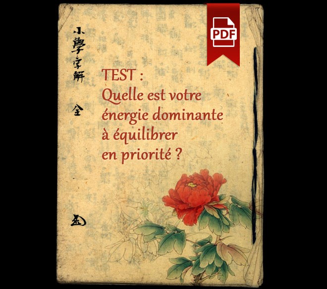 Test : quelle est votre énergie dominante à équilibrer en priorité ?